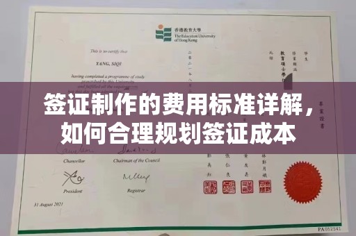 贵溪签证制作的费用标准详解，如何合理规划签证成本